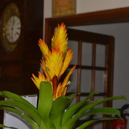 Will's Hotel Narbonne